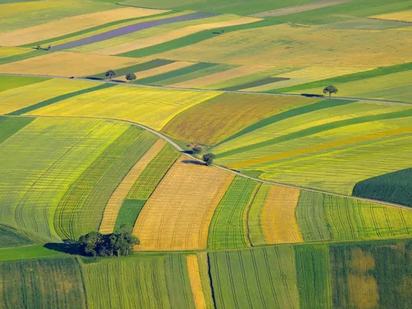 Landwirtschaftlich genutzte Felder und Grundstücke